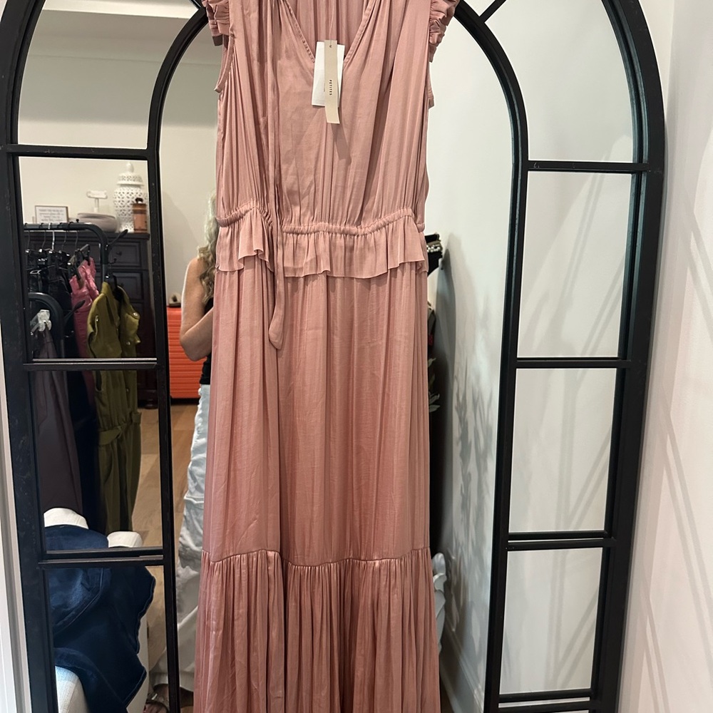 Banana Republic Blush Maxi Dress